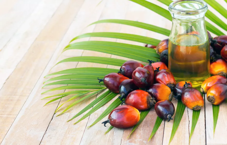 Biocarburants de première génération extraits à partir de l'huile de palme